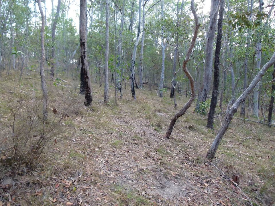 P1140685.jpg
