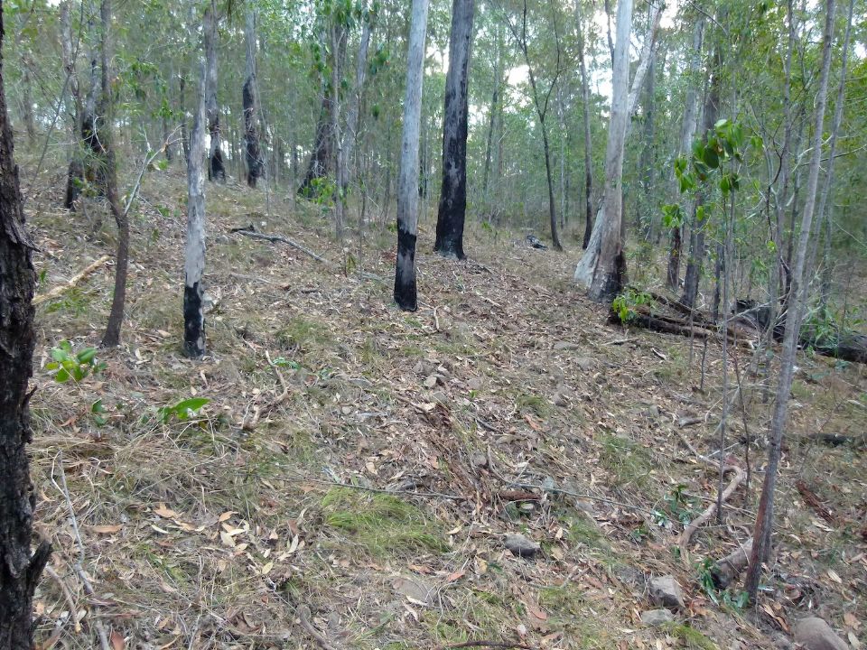 P1140689.jpg
