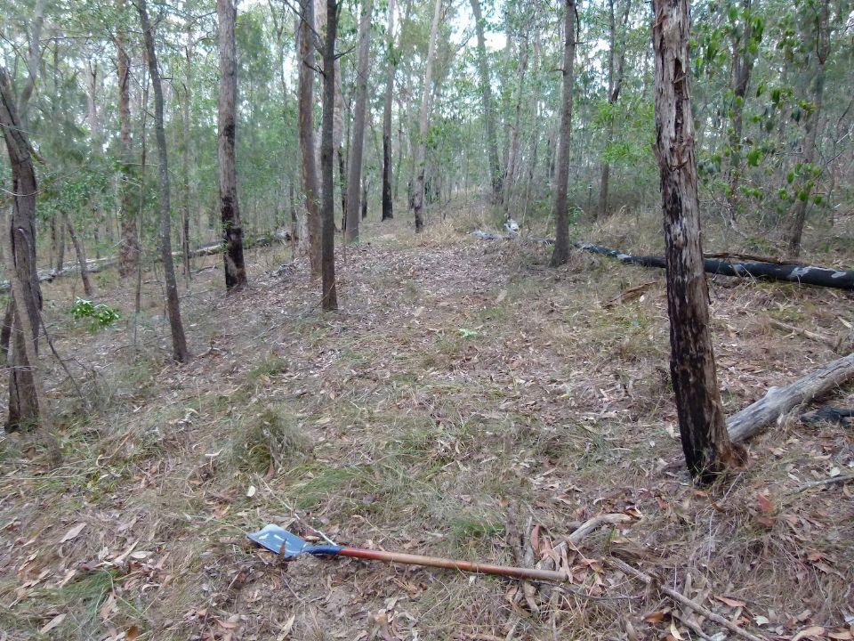 P1140695.jpg