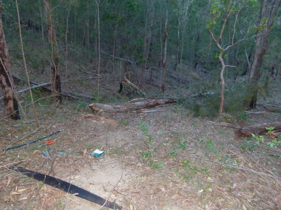 P1140698.jpg