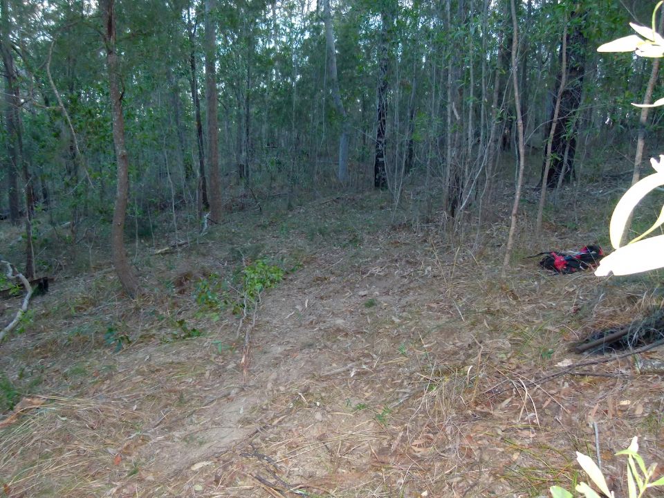 P1140699.jpg