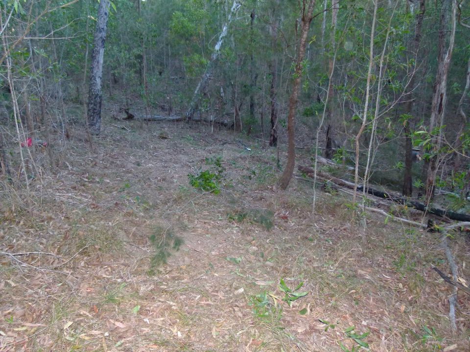 P1140701.jpg