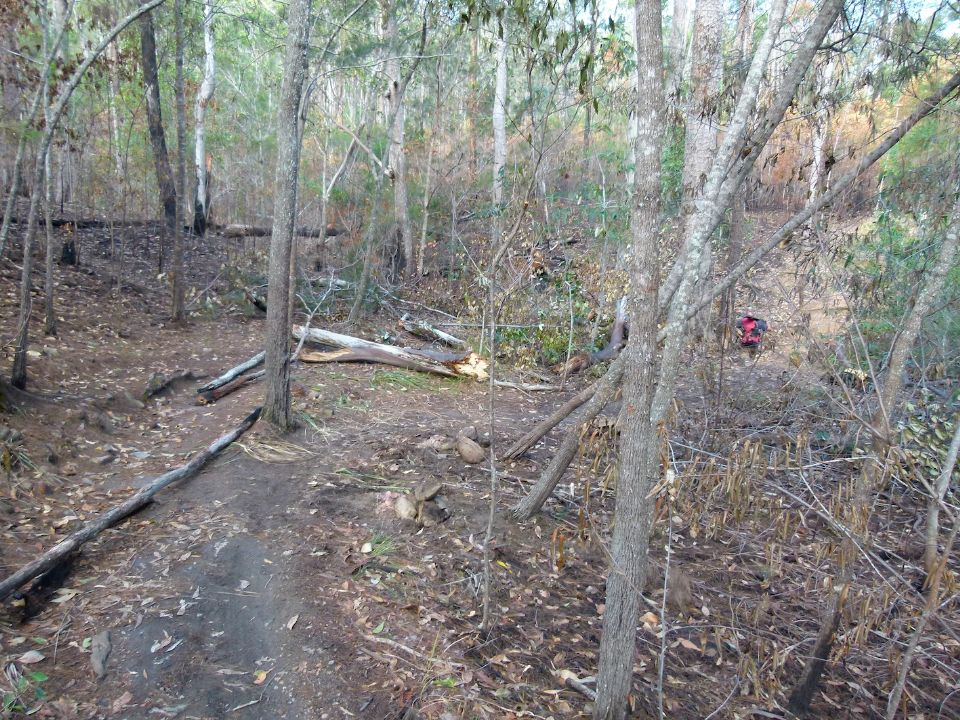 P1140784.jpg