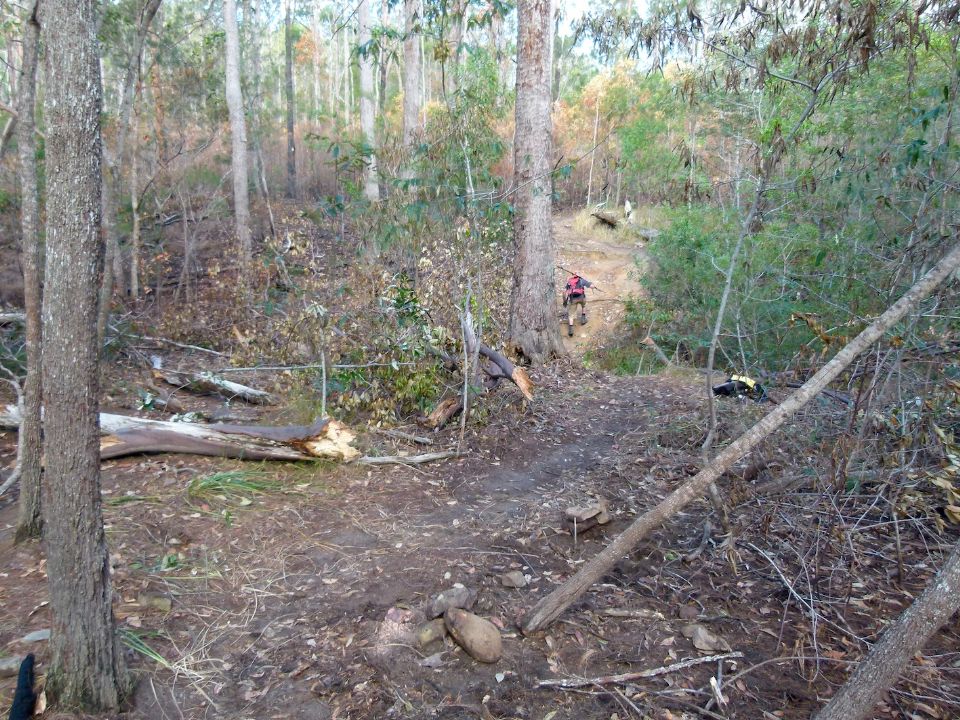 P1140785.jpg