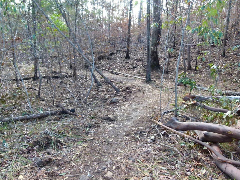 P1140786.jpg