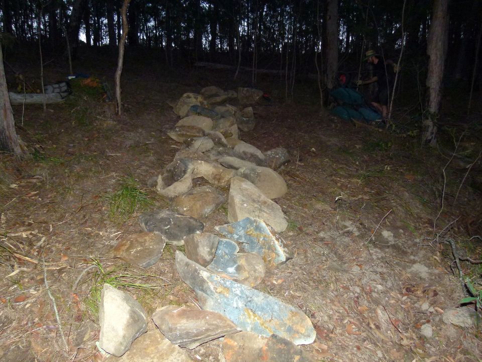 P1140801.jpg