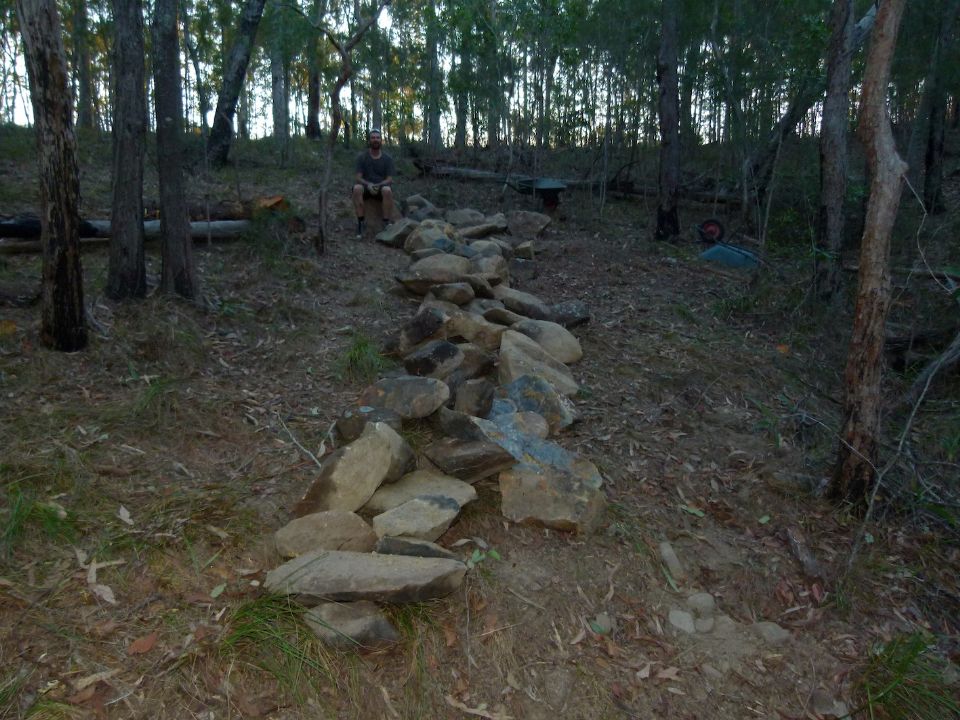 P1140815.jpg