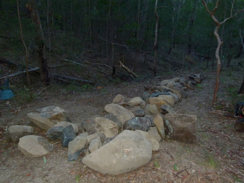 P1140821.jpg
