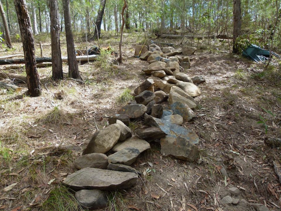 P1140827.jpg
