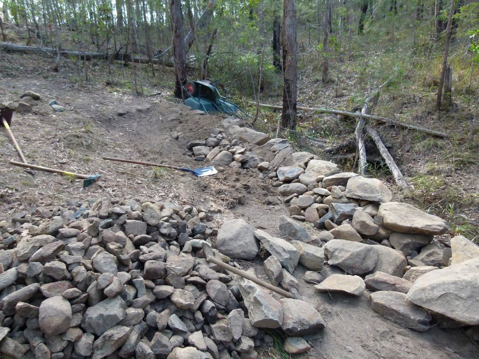 P1140854.jpg