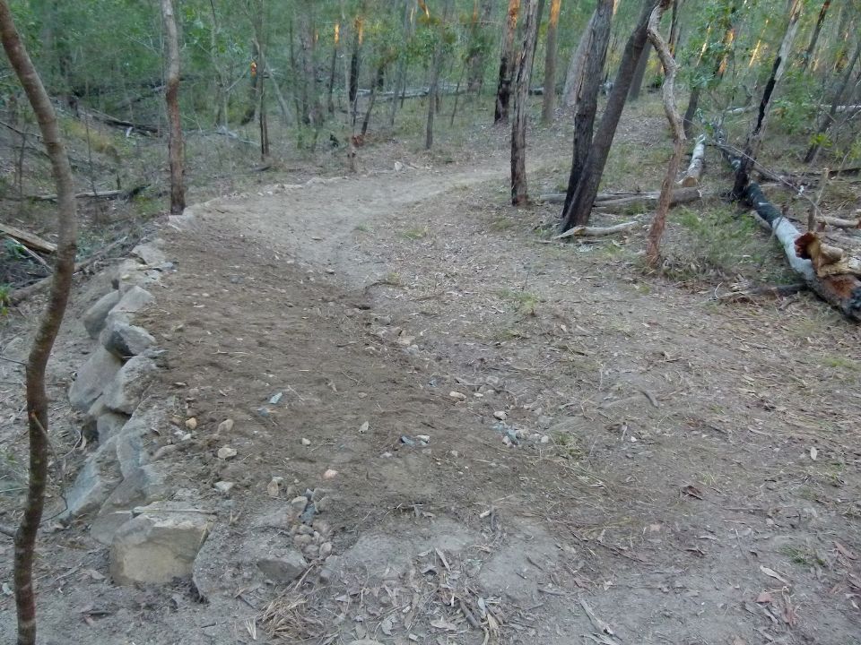 P1140936.jpg