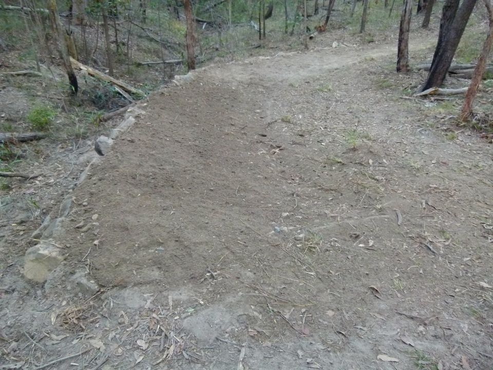 P1140943.jpg