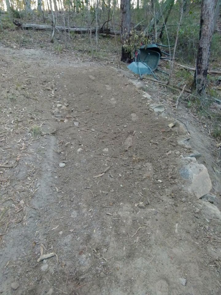 P1140944.jpg