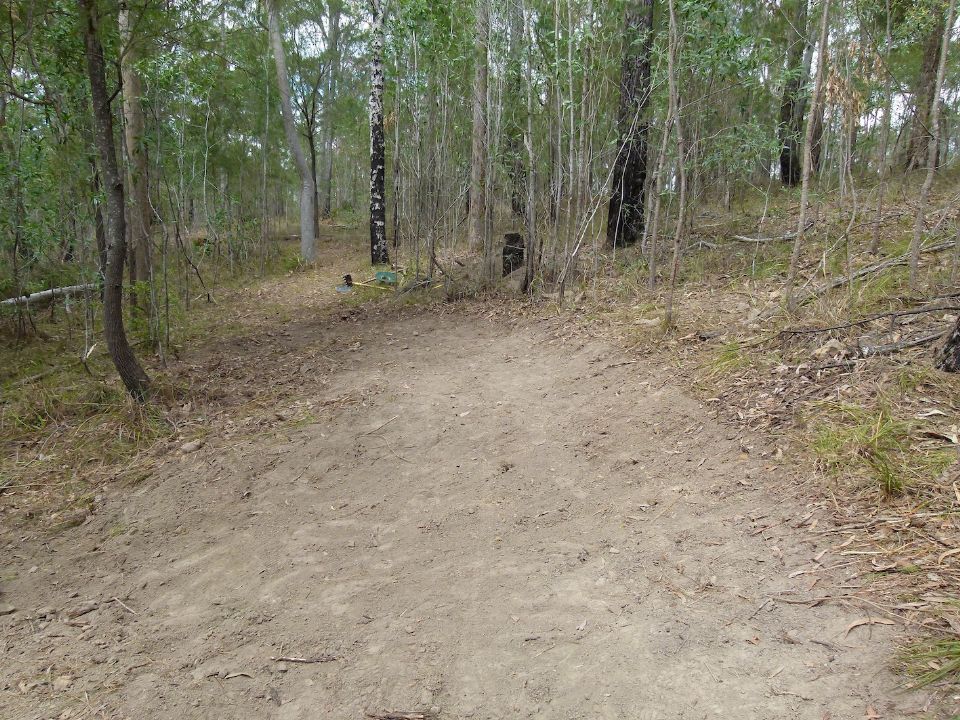 P1140978.jpg