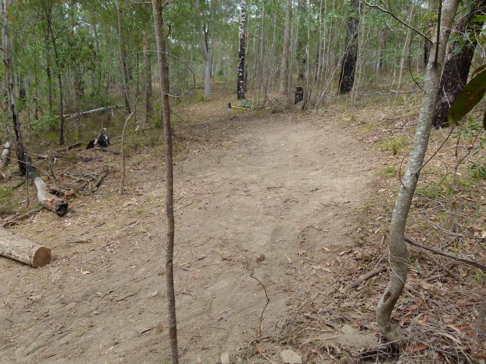 P1140979.jpg