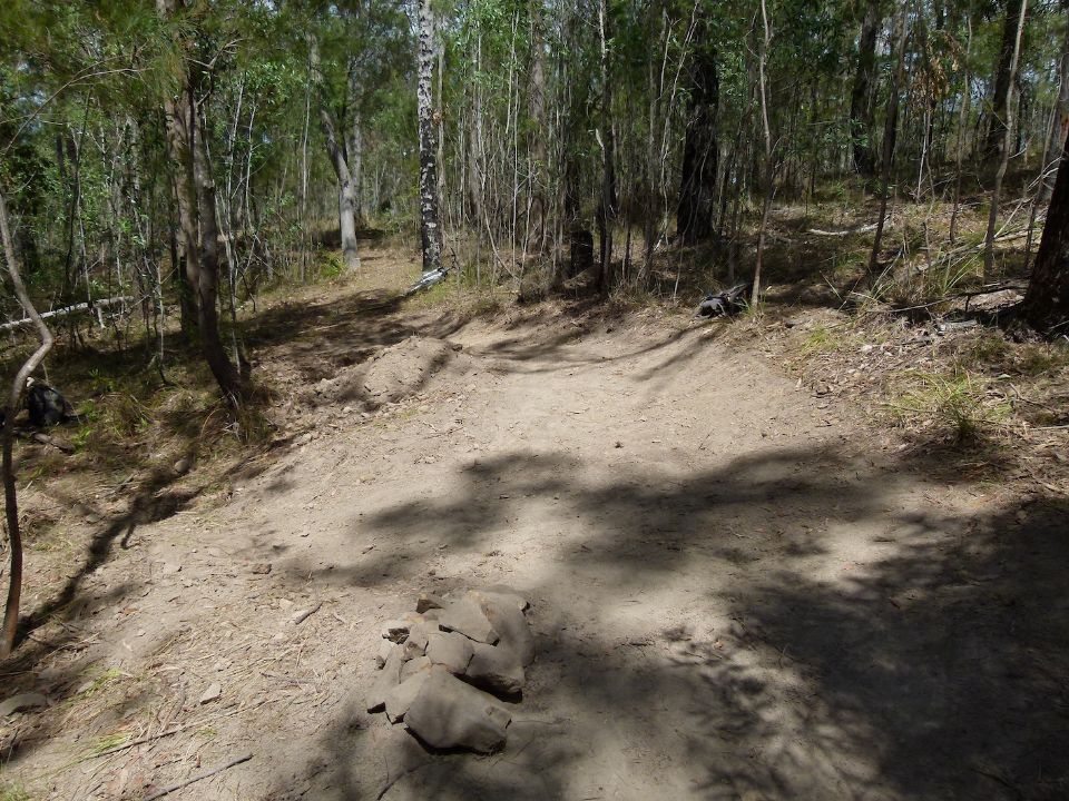 P1140993.jpg
