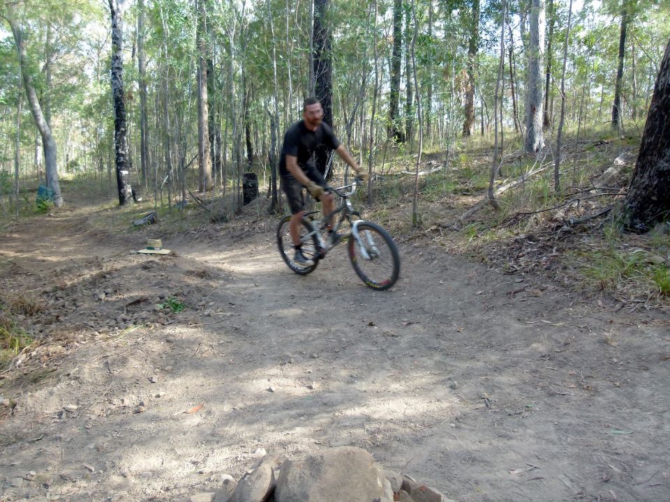 P1150007.jpg