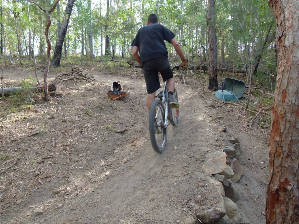 P1150008.jpg