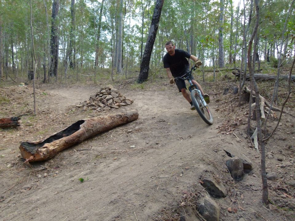 P1150011.jpg