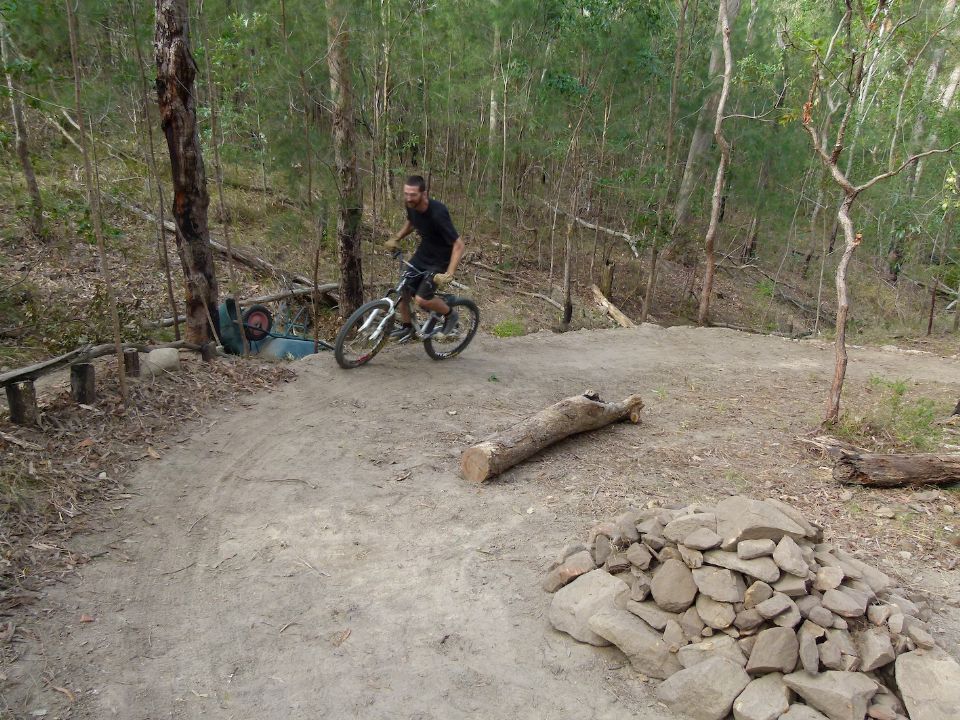 P1150012.jpg