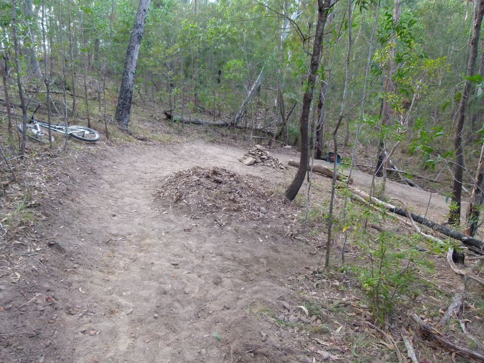 P1150018.jpg