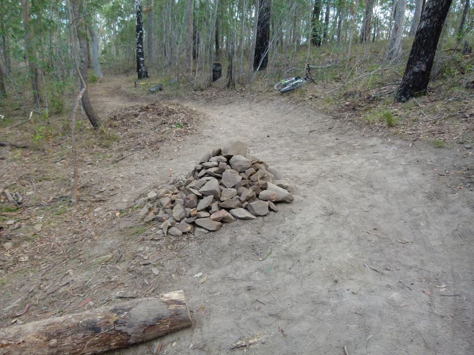 P1150019.jpg
