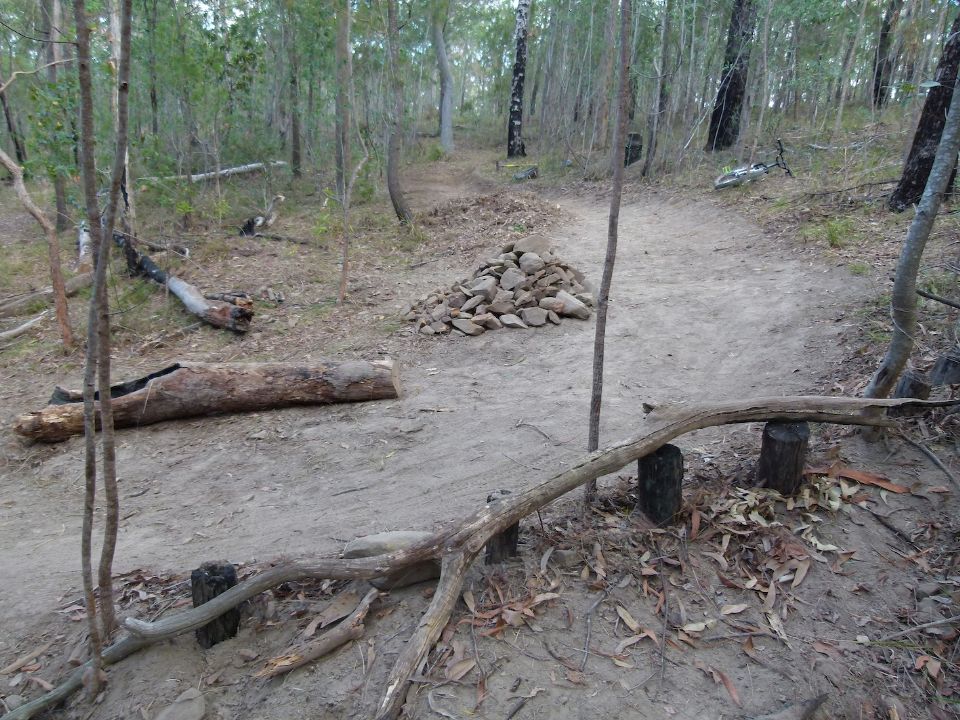 P1150020.jpg