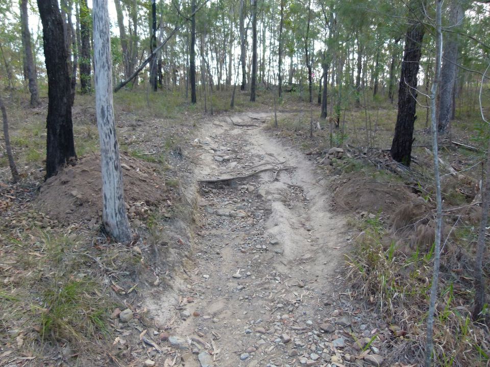 P1150023.jpg