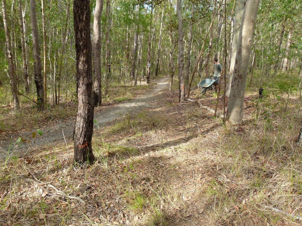 P1150031.jpg