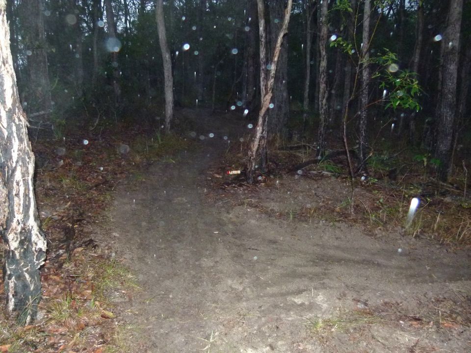 P1150035.jpg