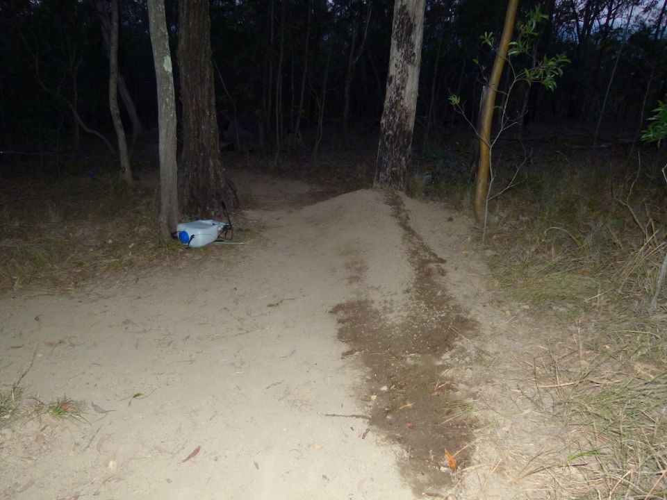 P1150576.jpg