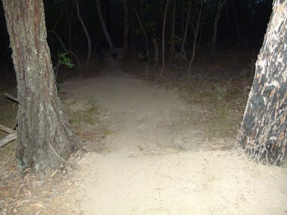 P1150616.jpg