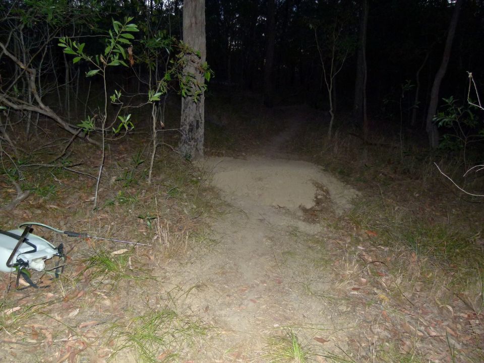 P1150618.jpg