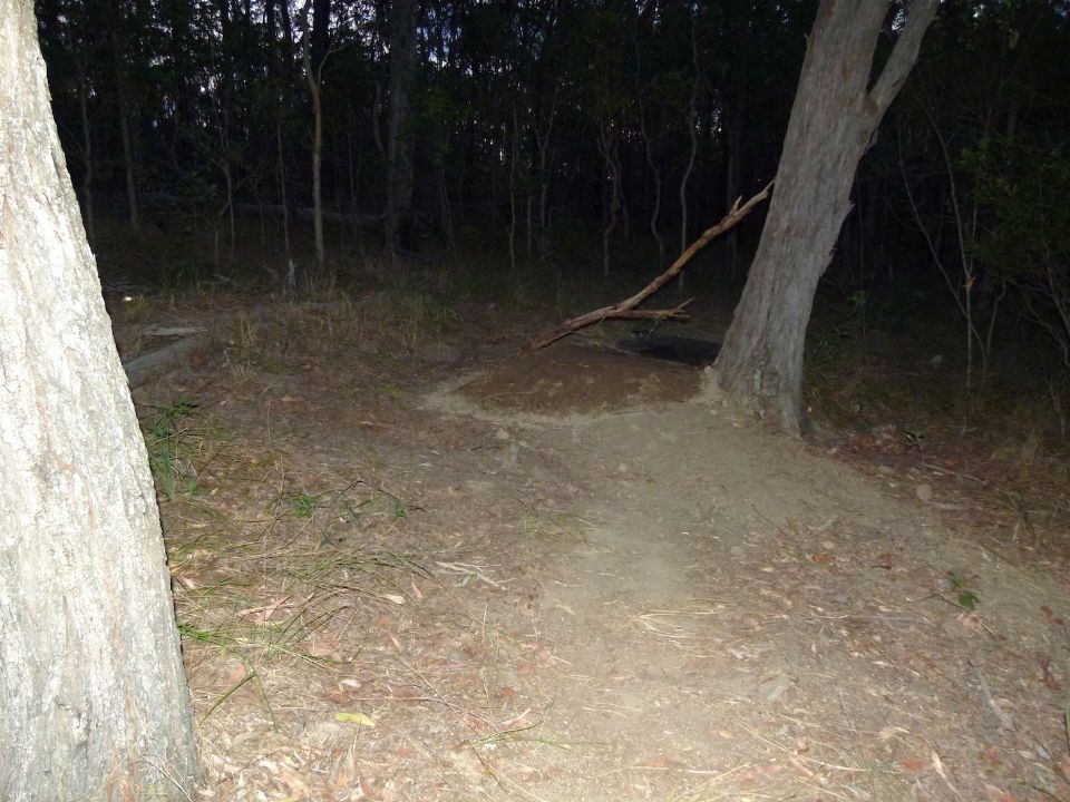 P1150620.jpg