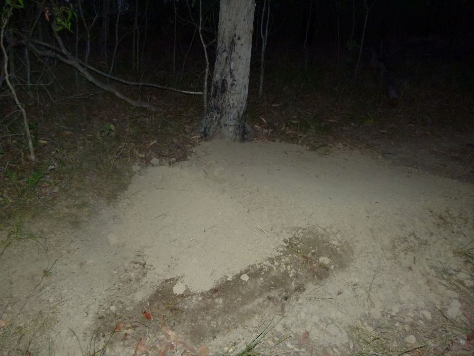 P1150624.jpg