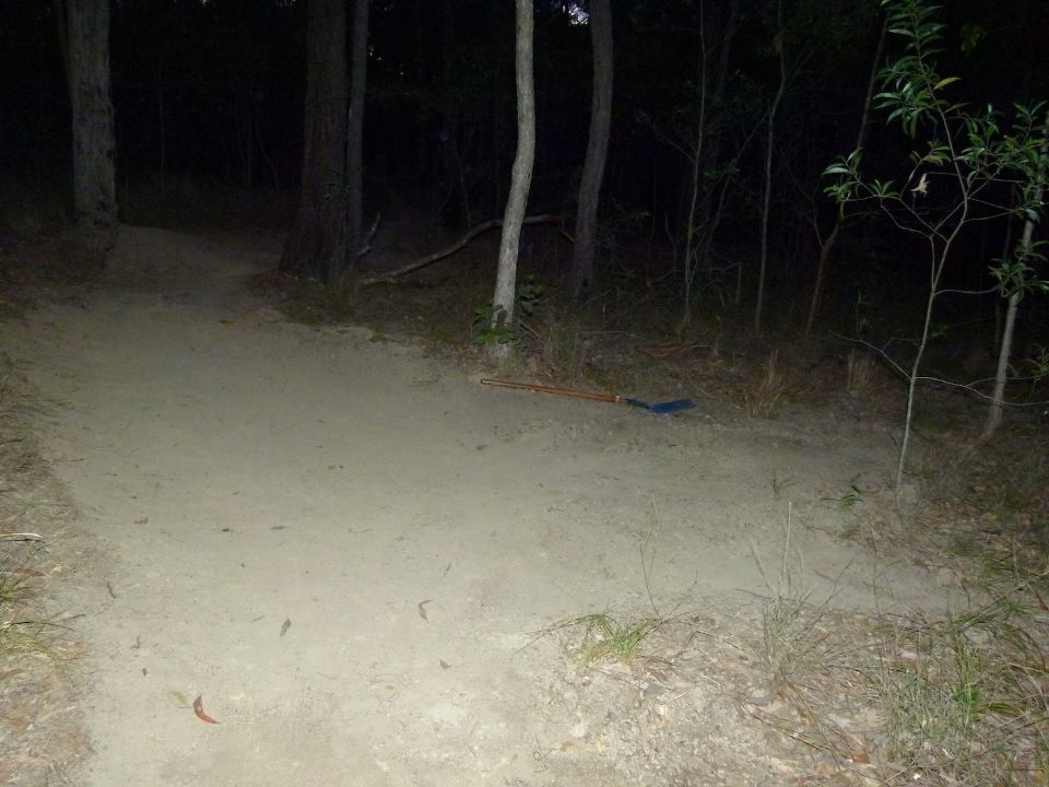 P1150627.jpg