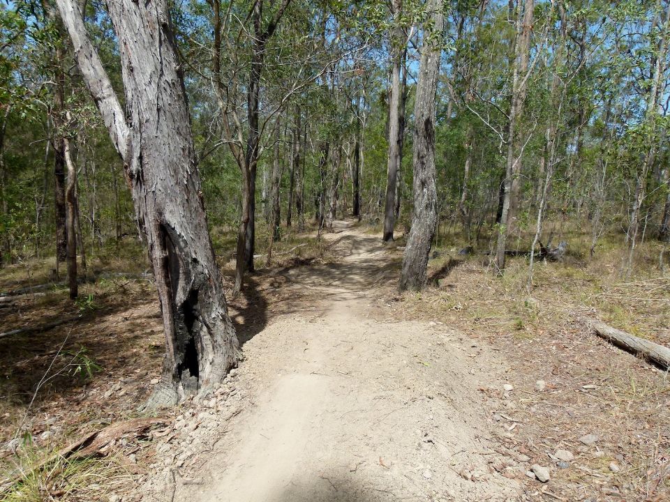 P1150682.jpg