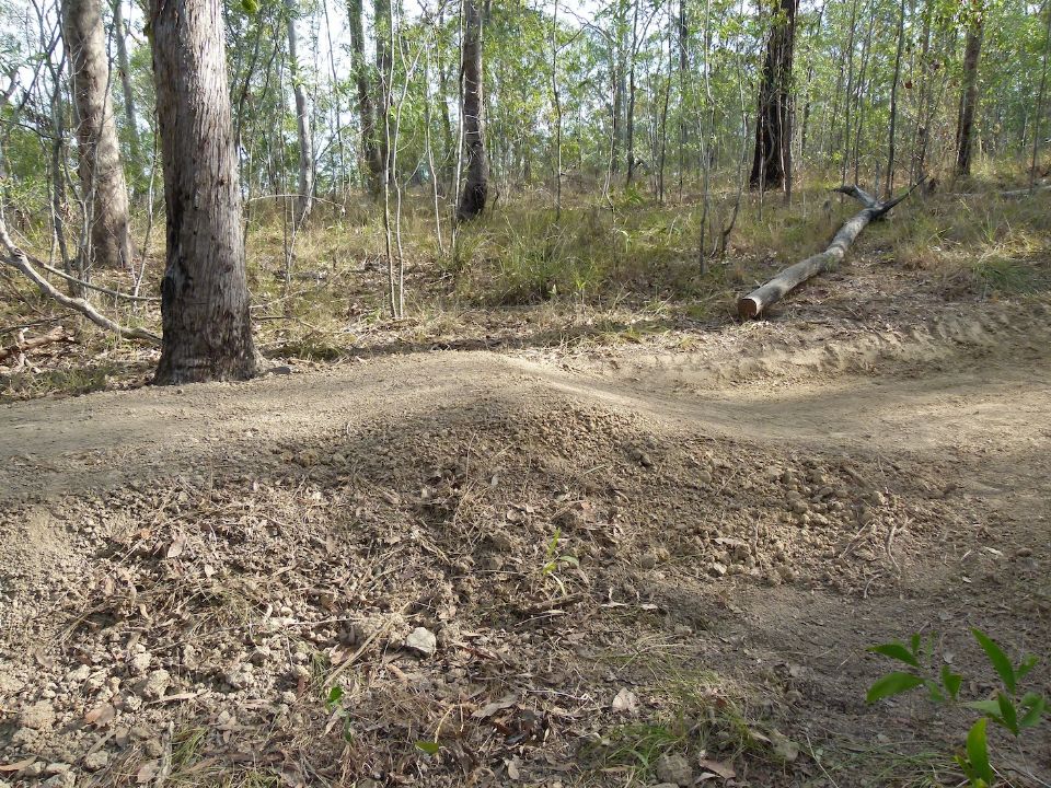 P1150689.jpg