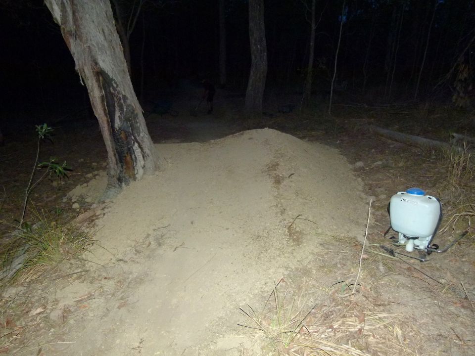 P1150699.jpg