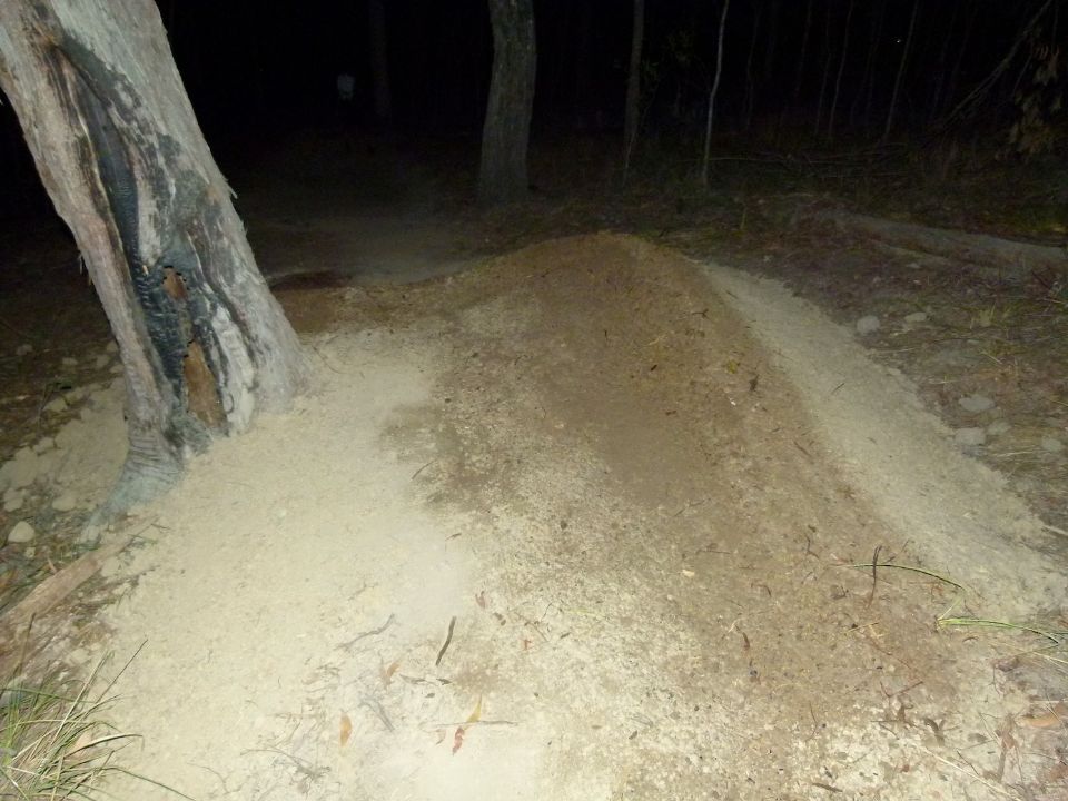 P1150717.jpg