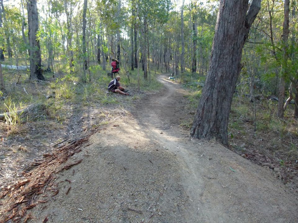 P1150736.jpg
