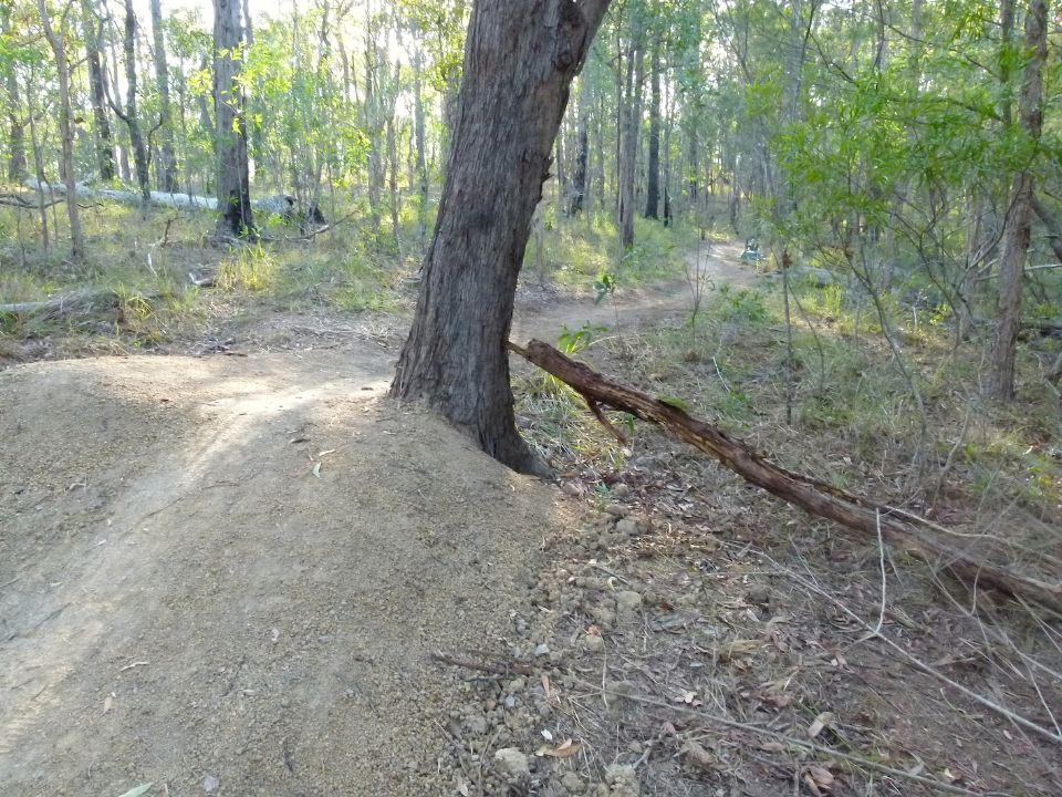 P1150741.jpg
