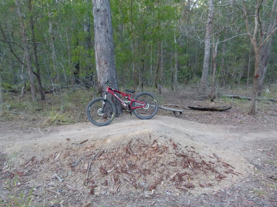 P1150765.jpg