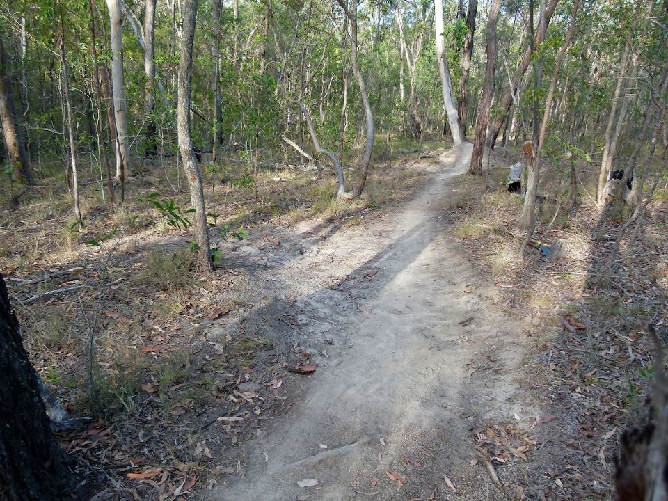 P1150769.jpg