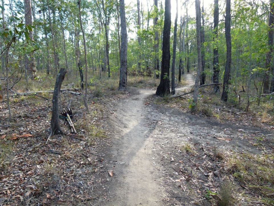 P1150770.jpg