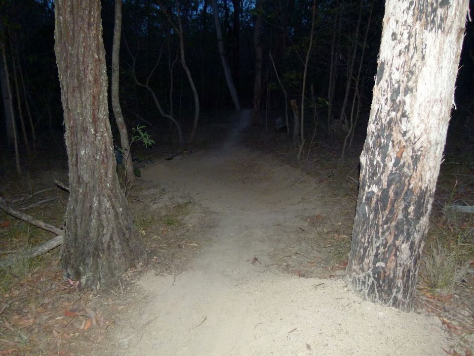 P1150779.jpg