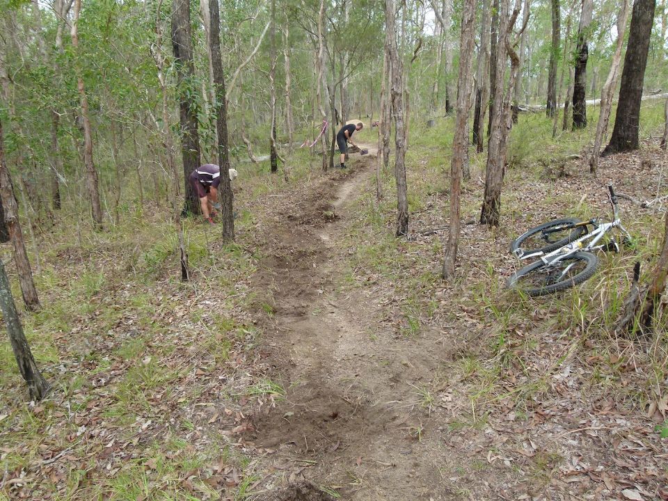 P1150834.jpg