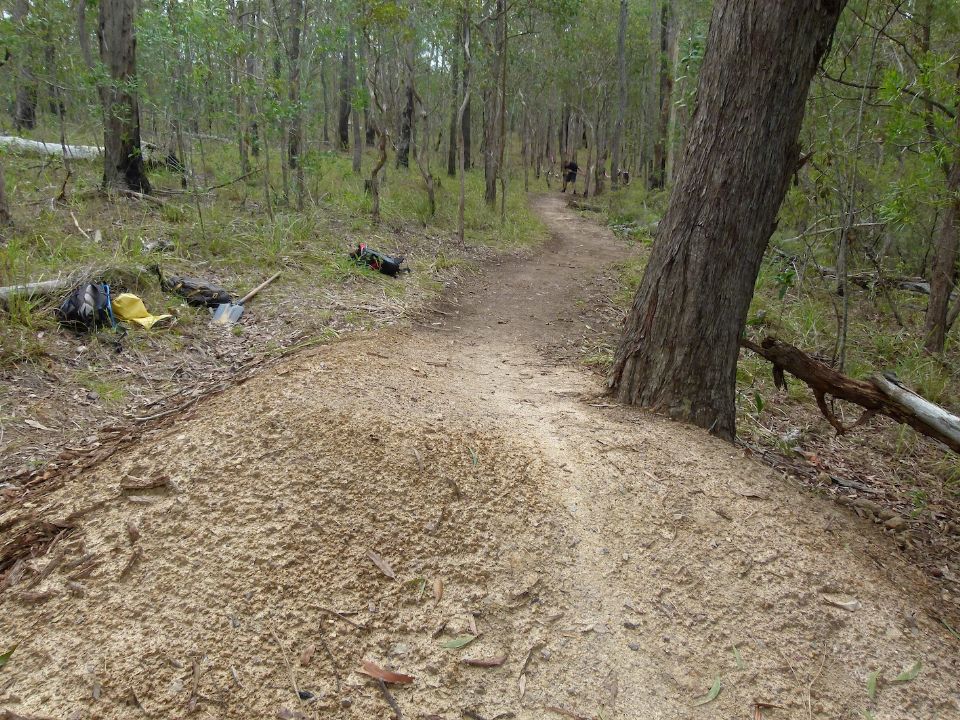 P1150836.jpg