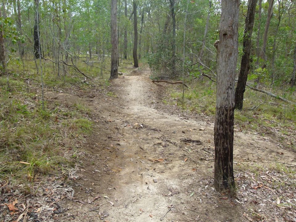 P1150837.jpg