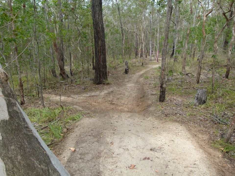 P1150840.jpg